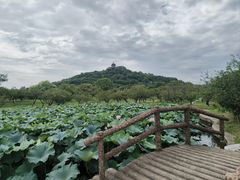 -缥缈峰景区