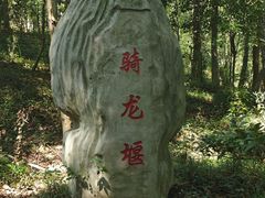 -上海佘山国家森林公园天马山园