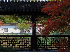 -枫桥景区