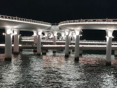 -演武大桥观景平台