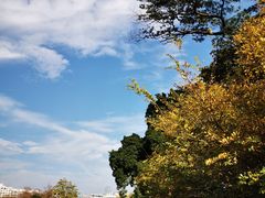 -东山湖公园