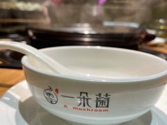 -一朵菌·野生菌探索家火锅(南亚店)