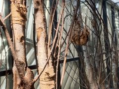 -新华里咖啡书吧(新华书店小寨店)