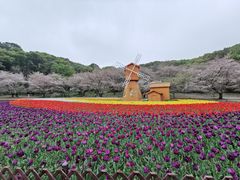 -苏州上方山国家森林公园