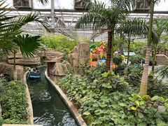 -南宫五洲植物乐园