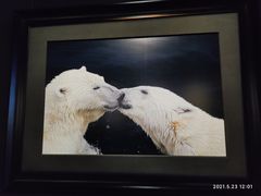 -罗红摄影艺术馆