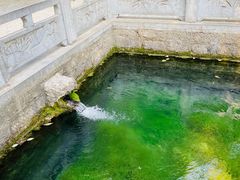 -四门塔风景区