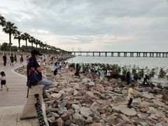 -宝安西湾红树林湿地公园