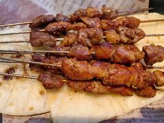 -额尔敦草原涮羊肉·烧烤(冻青树总店)