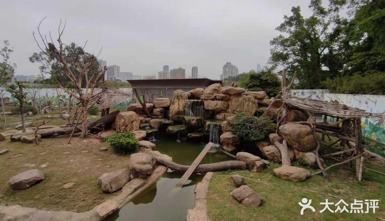 遛娃｜广州动物园20元的快乐