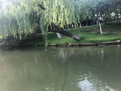 -圩墩遗址公园