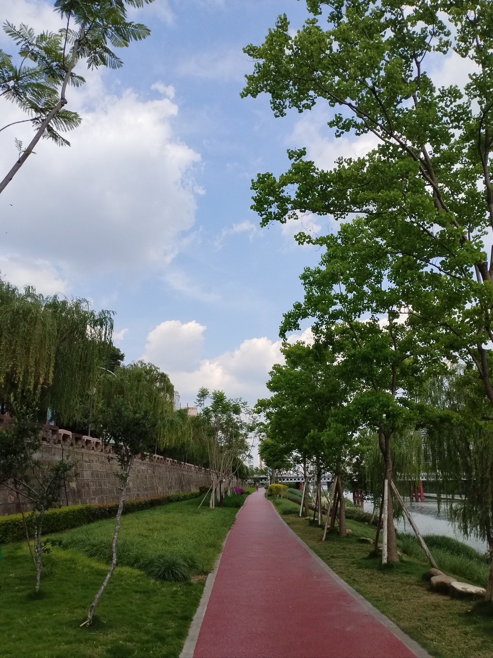 绵阳三江湿地公园