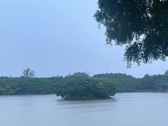 -江心屿景区
