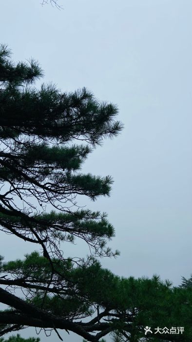 三清山风景名胜区图片