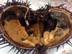 -大长山岛