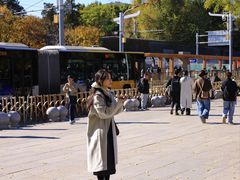 -北京植物园-展览温室