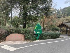 -中国大熊猫保护研究中心雅安碧峰峡基地