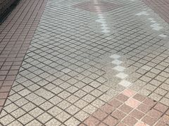 -九龙公园