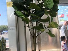 -喜茶(广州番禺奥园广场店)