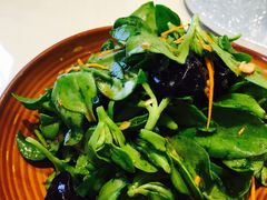 -海派美食·家宴海鲜青岛菜·石锅鲽鱼头(东方城店)