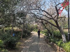 -雨花胜境
