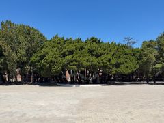-旅顺留声机博物馆