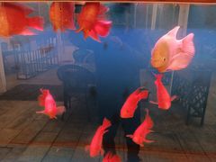 -去吃小龙虾·江湖菜·烧烤(南滨路店)