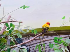 -北京野生动物园