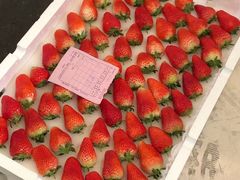 -西郊国际农产品交易中心