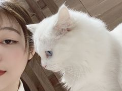 -瞄一喵猫咖(格力海岸店)