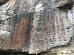 -铁山坪森林公园