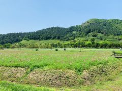 -径山花海