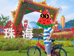 -野狸岛