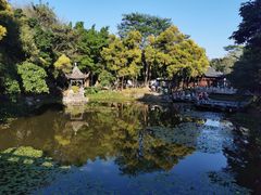 -深圳国际园林花卉博览园