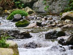 -瓦屋山景区