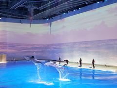 -上海海昌海洋公园