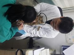 android_upload_pic-康乐宝动物医院