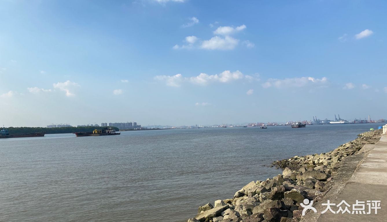 海鸥岛游啊游