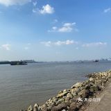 海鸥岛游啊游