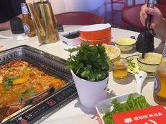 -黑猫馋纸包鱼(阳光店)
