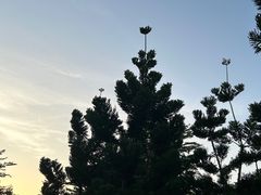 -厦门园林博览苑
