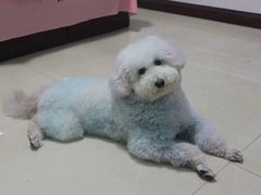 -情缘鲜花店(汾阳店)