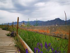 -敕勒川草原文化旅游区