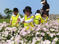 -瑞恩宝感统训练·语言提升·蒙氏托育中心