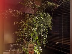 -肉串汪(望京店)