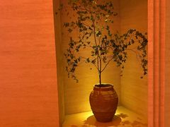 -舒小悦·舒养SPA·古法推拿(光环中心店)