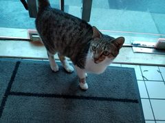 -ID.PHOTO照相馆(嘉里企业中心店)