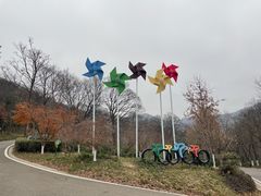 -南京老山国家森林公园