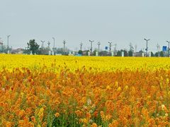 -中国天府农业博览园