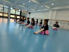 -西安小天鹅艺术团(曲江Alice店)